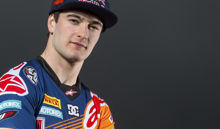 Herlings-face